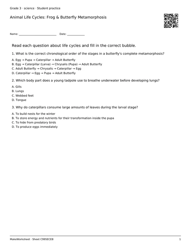 Animal Life Cycles: Frog & Butterfly Metamorphosis: first student practice page