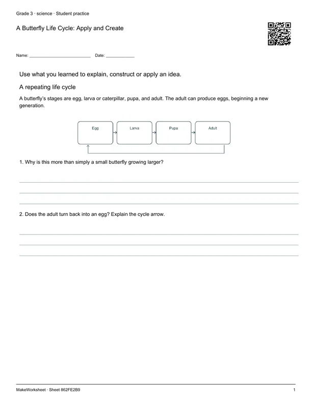 A Butterfly Life Cycle: Apply and Create: first student practice page