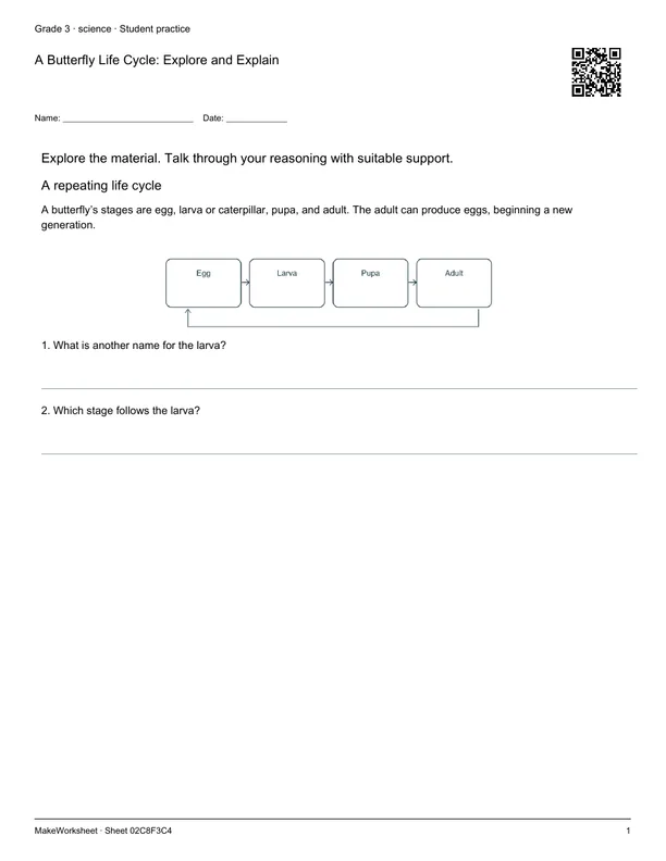 A Butterfly Life Cycle: Explore and Explain: first student practice page