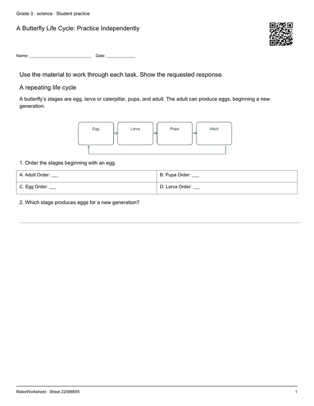 A Butterfly Life Cycle: Practice Independently: first student practice page