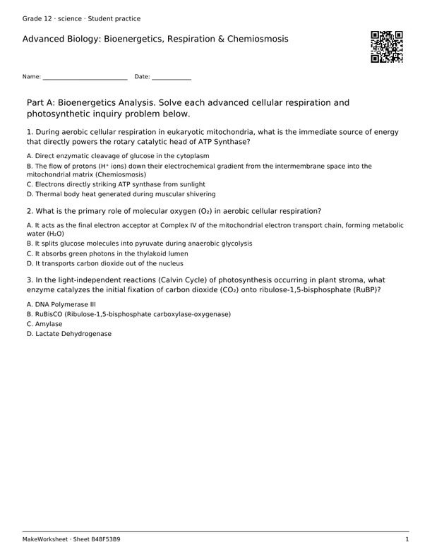 Advanced Biology: Bioenergetics, Respiration & Chemiosmosis: first student practice page