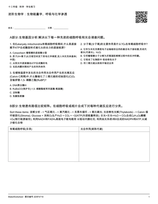 进阶生物学:生物能量学、呼吸与化学渗透: first student practice page