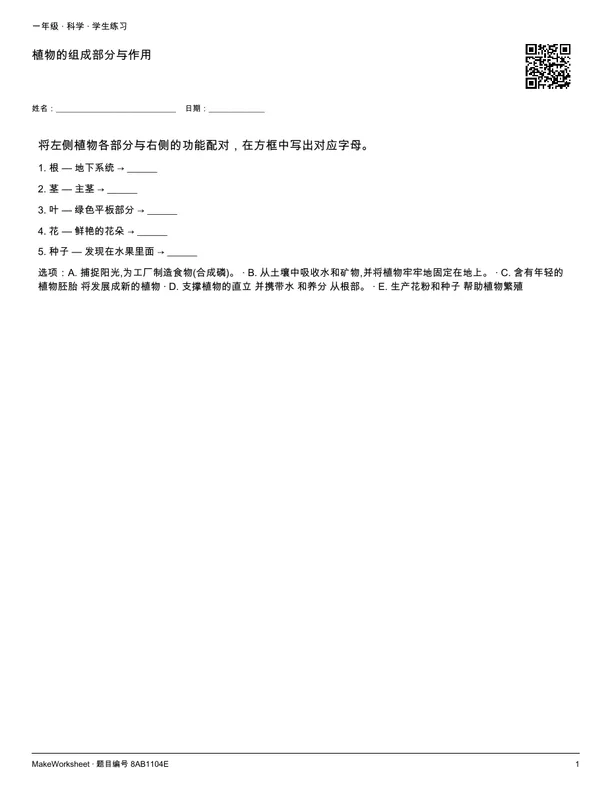 植物的组成部分与作用: first student practice page