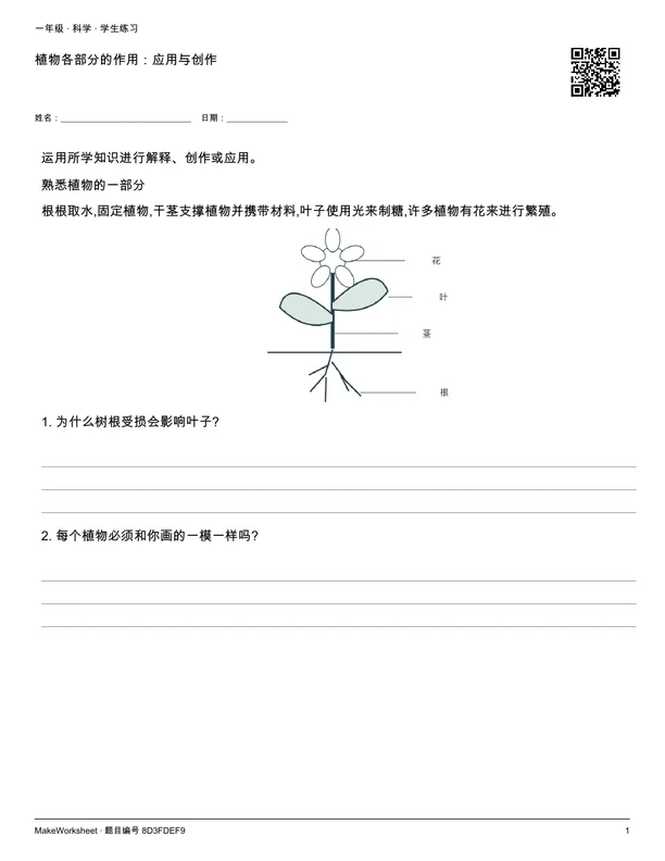 植物各部分的作用:应用与创作: first student practice page