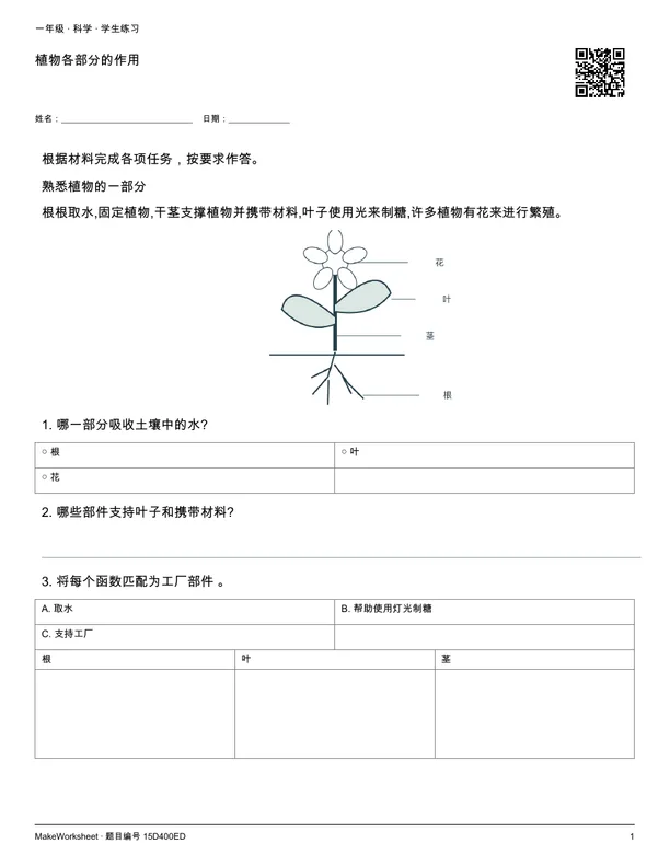 植物各部分的作用: first student practice page
