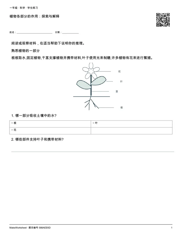 植物各部分的作用:探索与解释: first student practice page