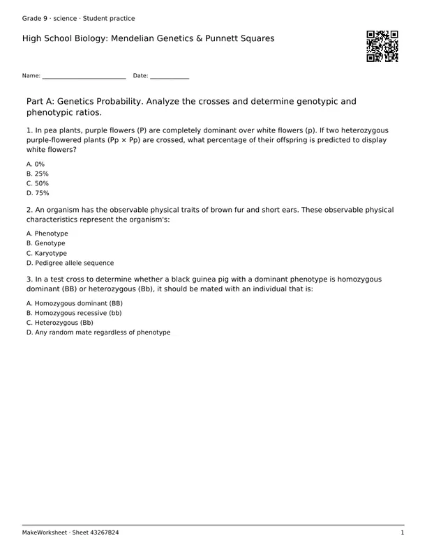 High School Biology: Mendelian Genetics & Punnett Squares: first student practice page
