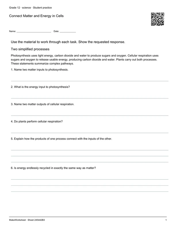 Connect Matter and Energy in Cells: first student practice page