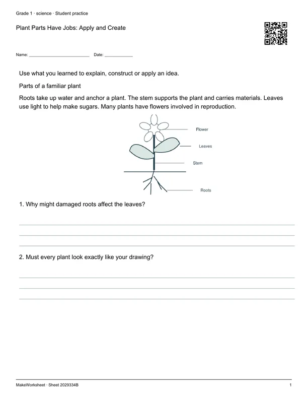 Plant Parts Have Jobs: Apply and Create: first student practice page