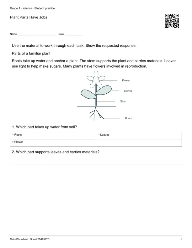 Plant Parts Have Jobs: first student practice page