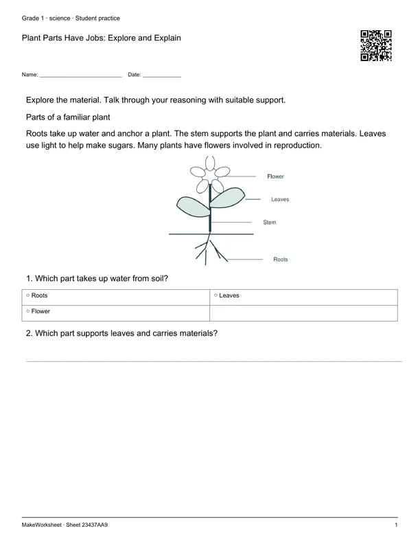 Plant Parts Have Jobs: Explore and Explain: first student practice page