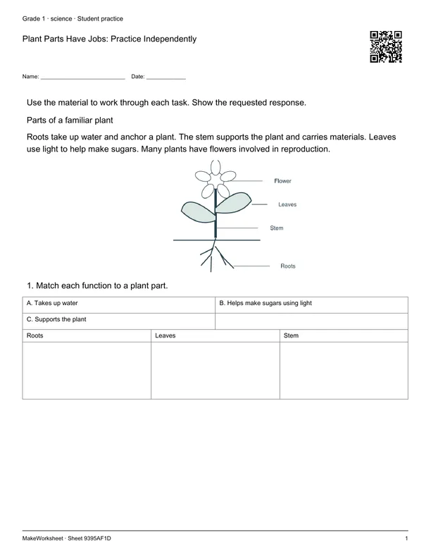 Plant Parts Have Jobs: Practice Independently: first student practice page