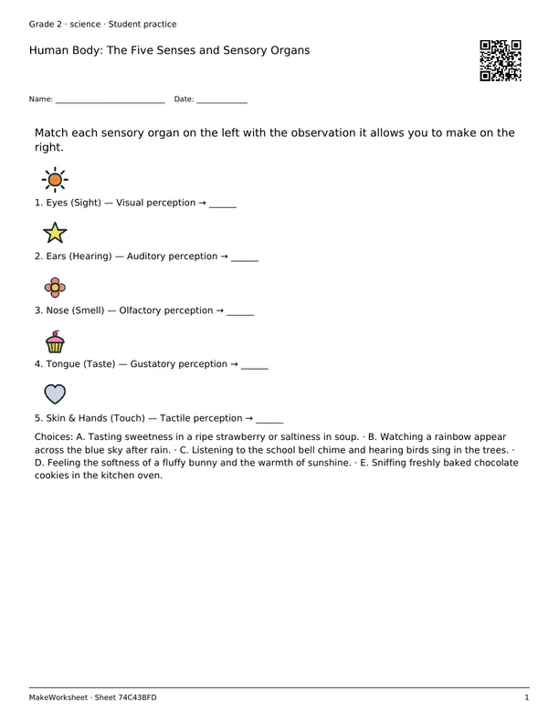 Human Body: The Five Senses and Sensory Organs: first student practice page