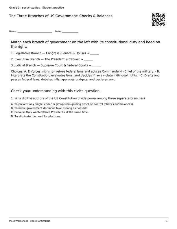 The Three Branches of US Government: Checks & Balances: first student practice page